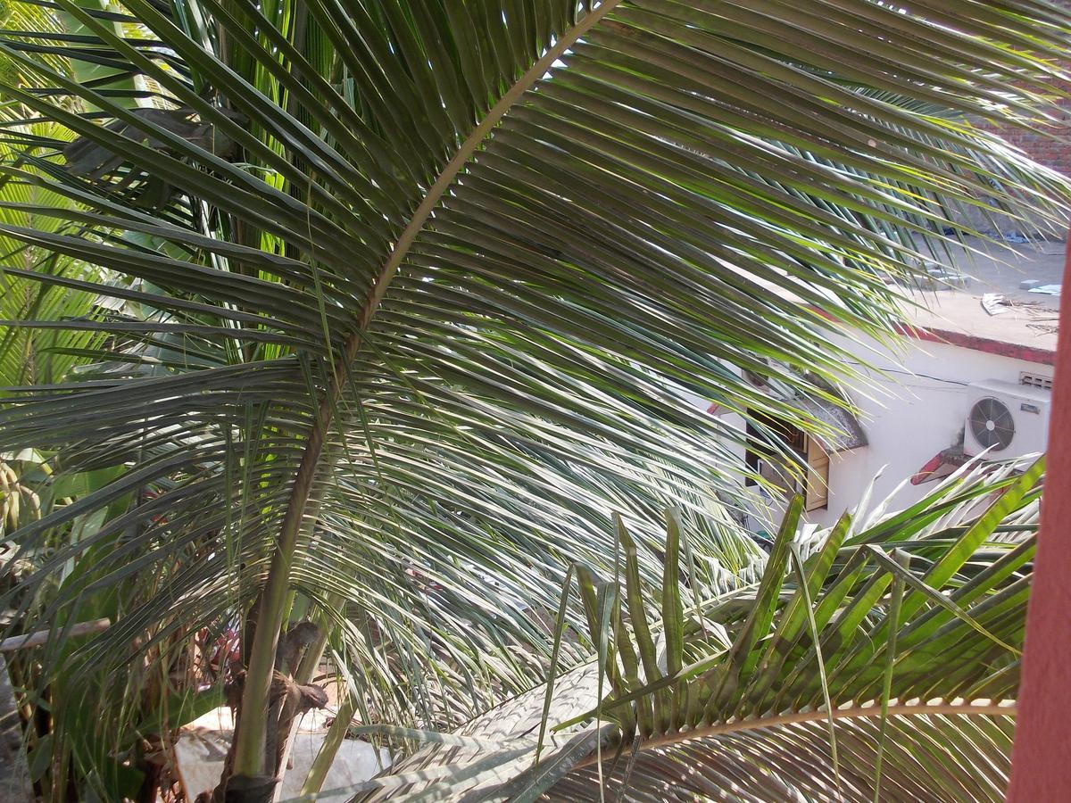 Hotel Sun Plaza-Near Konark Sun Temple- Couple Friendly-Best Choice Of Travellers Esterno foto